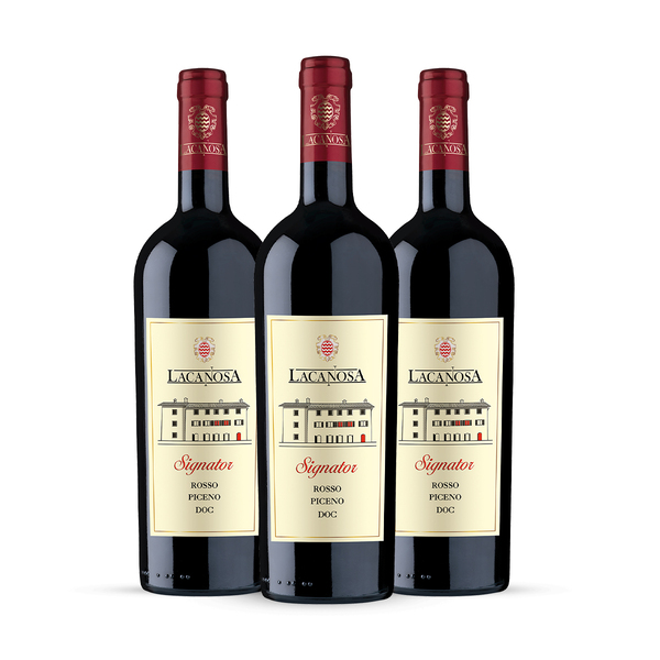 Box da 3 - Rosso Piceno DOC Signator 2020